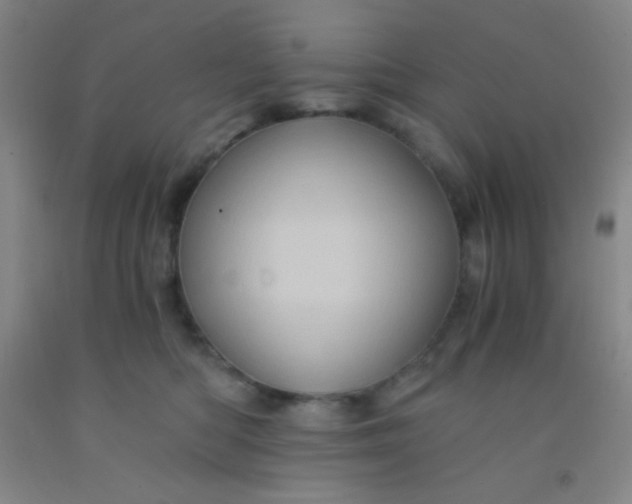 X0000092020422200709201555