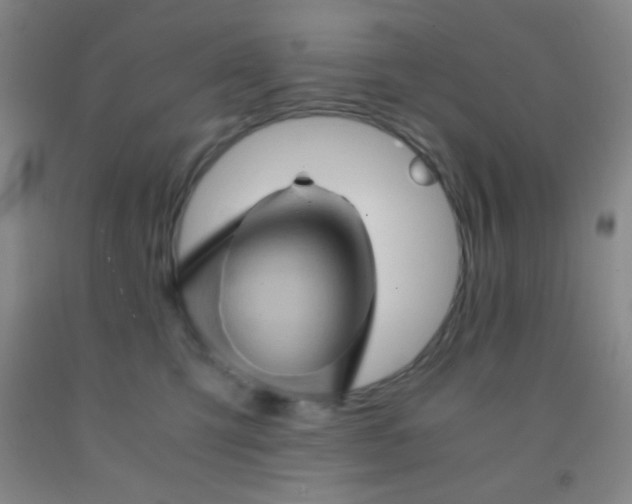 X0000092020423200709201555