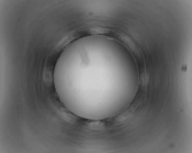 X0000092020426200709201555