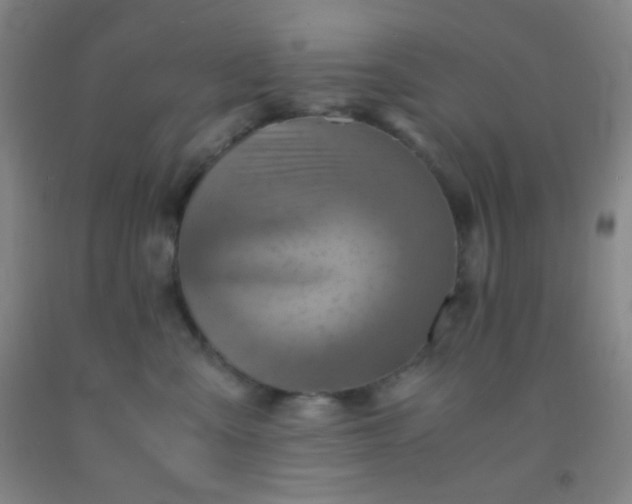 X0000092020427200709201555