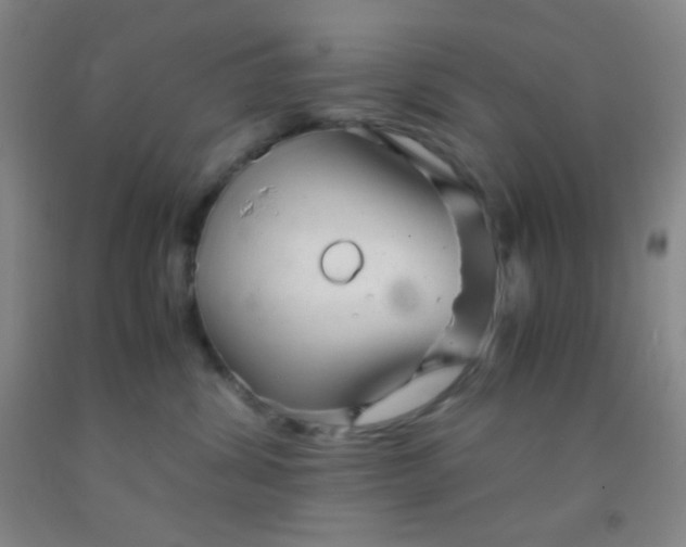 X0000092020428200709201555