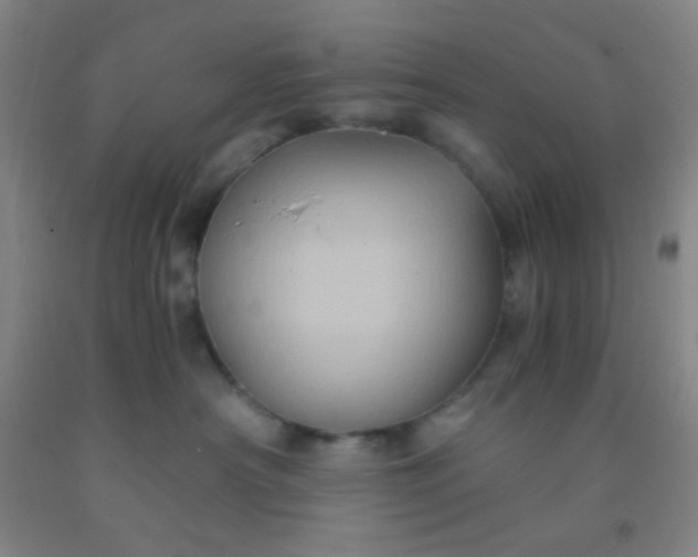 X0000092020430200709201555