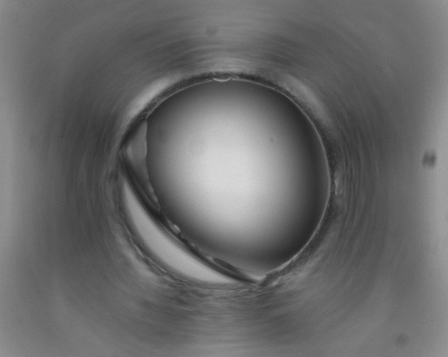 X0000092020436200709201555