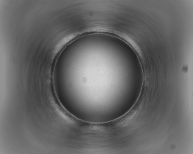 X0000092020437200709201555