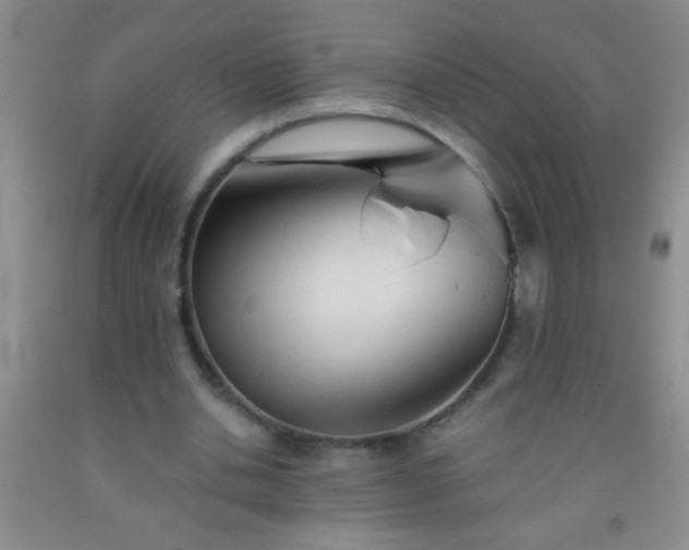 X0000092020438200709201555