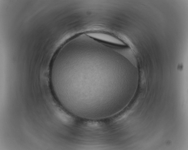 X0000092020439200709201555