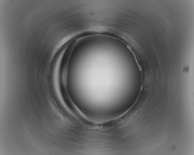 X0000092020440200709201555