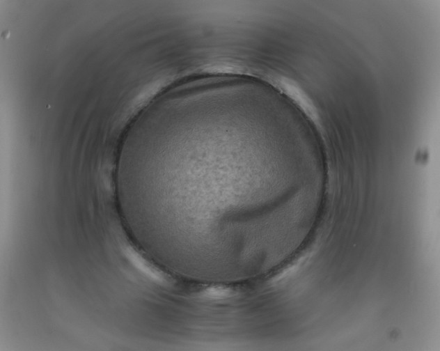 X0000092020441200709201555