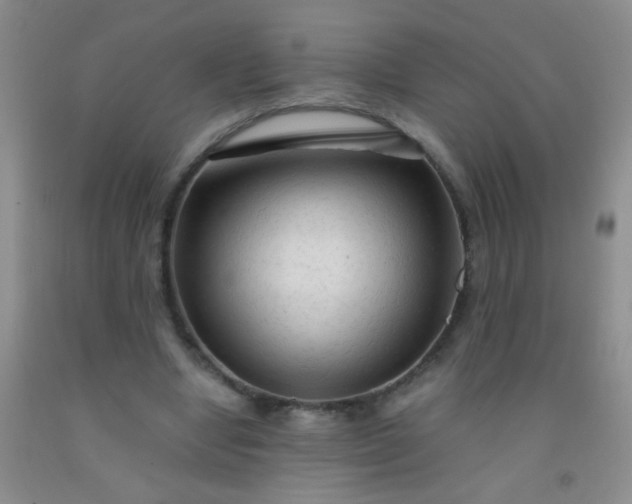 X0000092020442200709201555