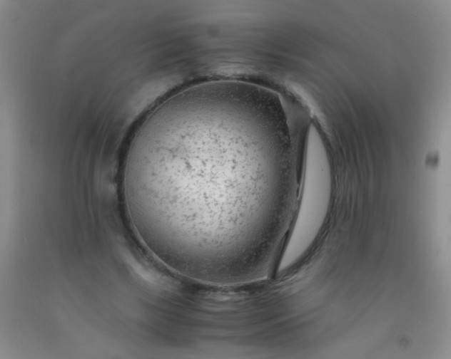 X0000092020443200709201555