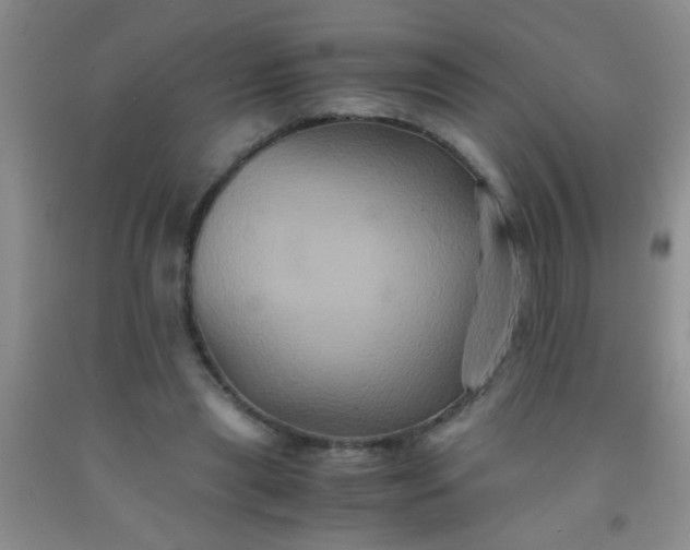 X0000092020445200709201555