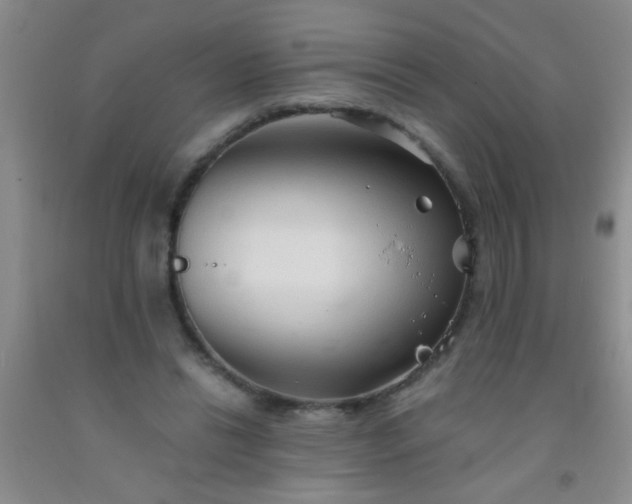 X0000092020446200709201555