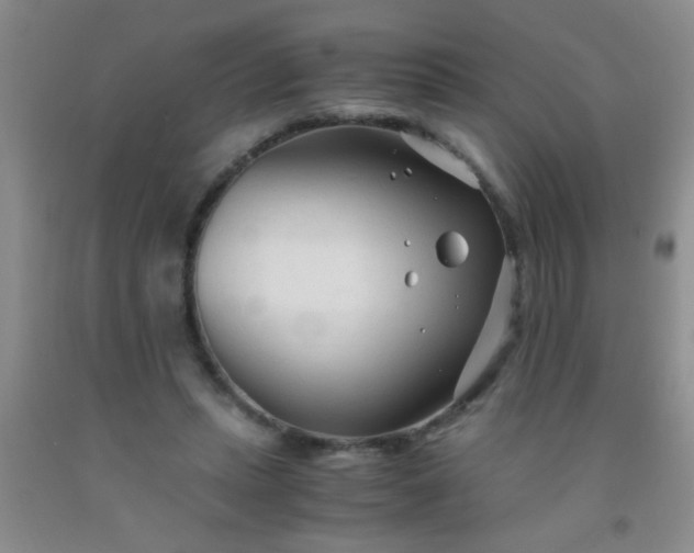 X0000092020447200709201555