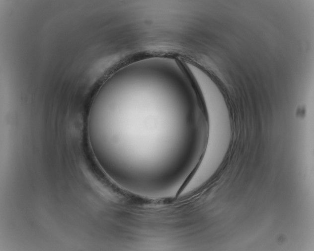 X0000092020448200709201555