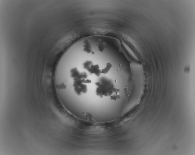 X0000092020451200709201555