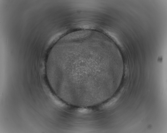 X0000092020453200709201555