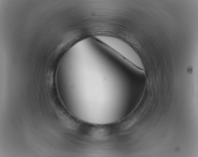 X0000092020454200709201555