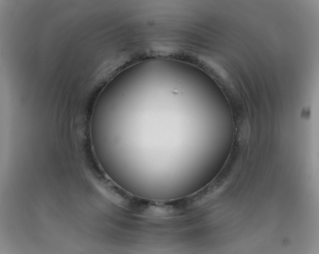 X0000092020455200709201555