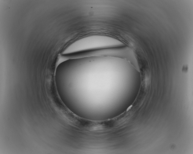 X0000092020456200709201555