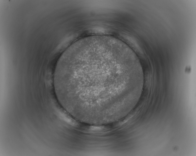 X0000092020457200709201555