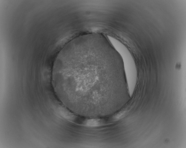 X0000092020461200709201555