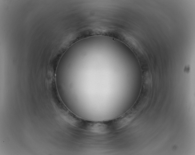 X0000092020463200709201555