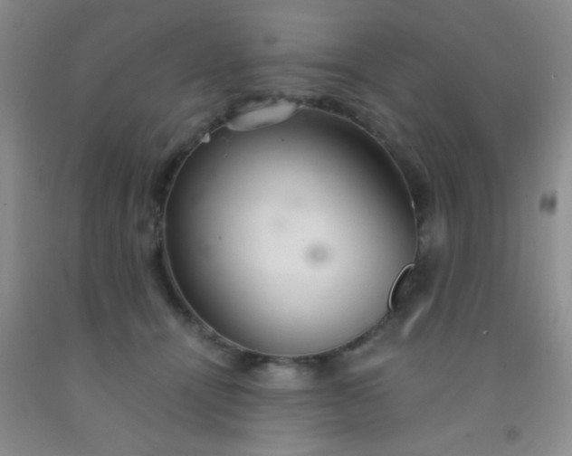 X0000092020464200709201555