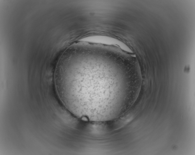 X0000092020466200709201555