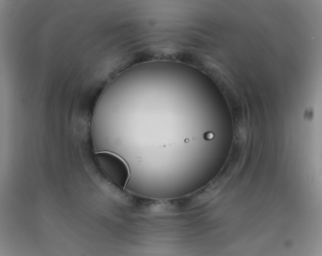 X0000092020468200709201555