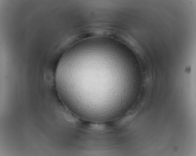 X0000092020469200709201555