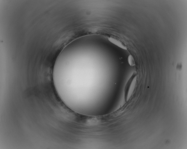 X0000092020470200709201555