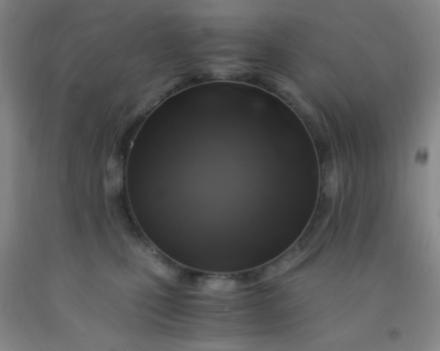 X0000092020471200709201555