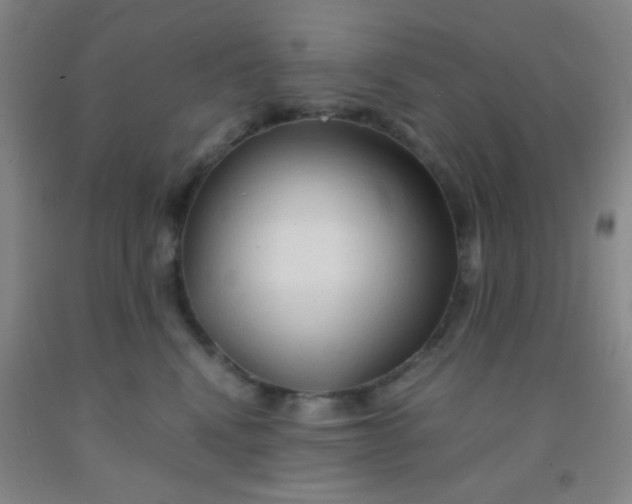 X0000092020472200709201555