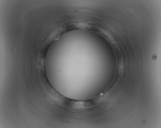 X0000092020473200709201555