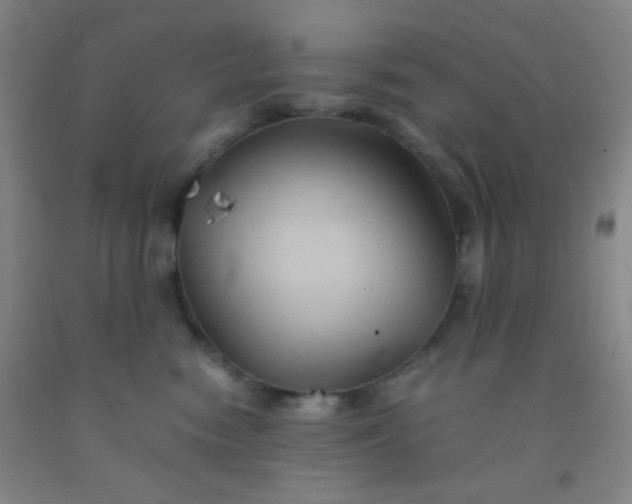 X0000092020474200709201555