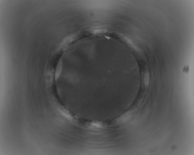 X0000092020475200709201555