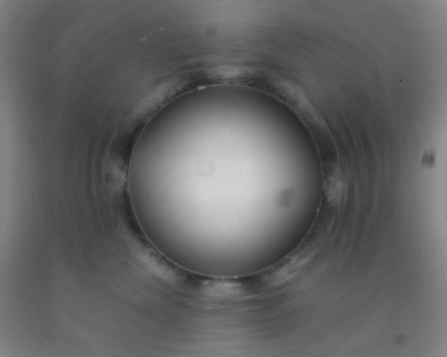 X0000092020476200709201555