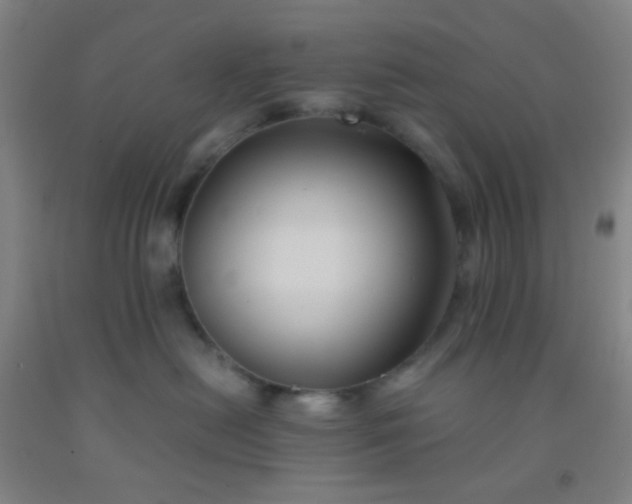 X0000092020478200709201555