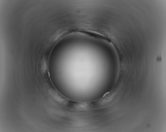 X0000092020479200709201555