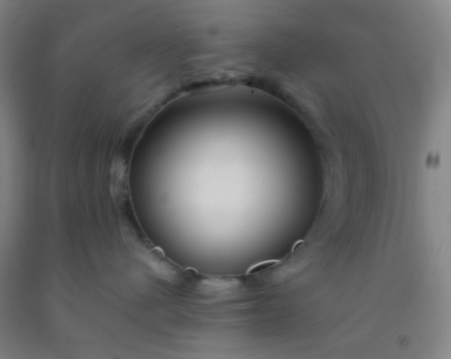 X0000092020480200709201555