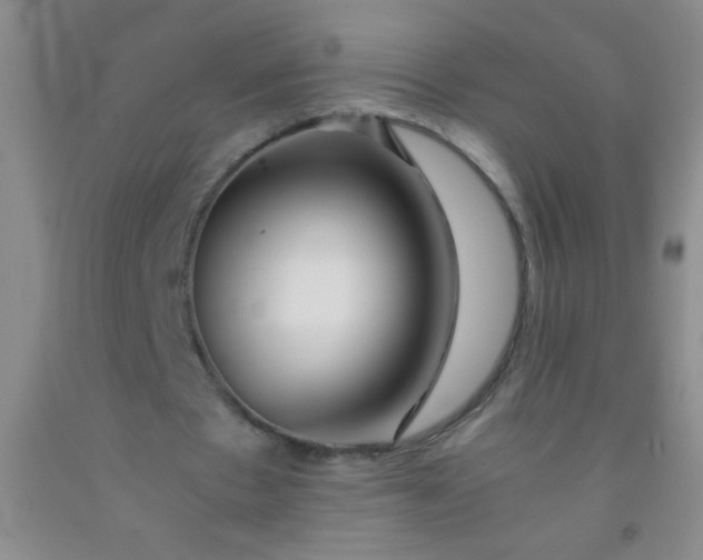 X0000092020481200709201555