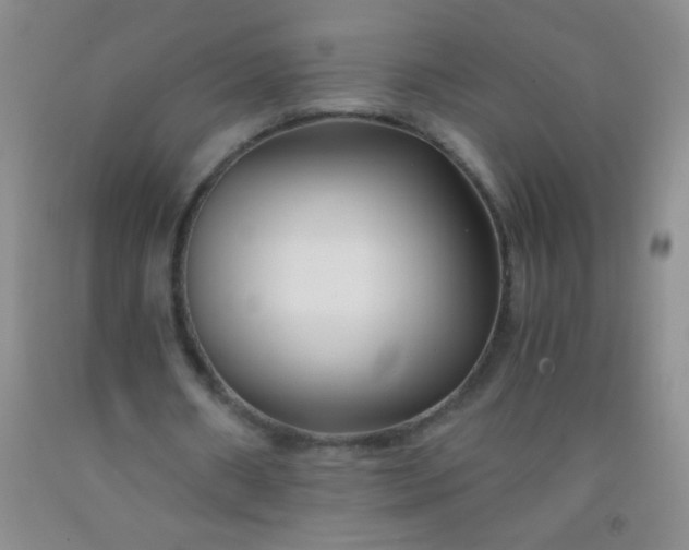 X0000092020482200709201555