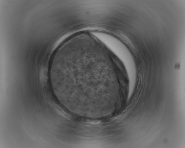 X0000092020484200709201555