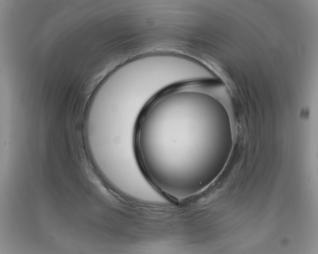 X0000092020485200709201555