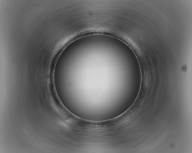 X0000092020486200709201555