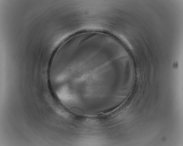 X0000092020487200709201555