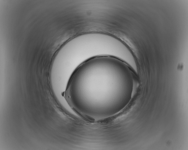 X0000092020489200709201554