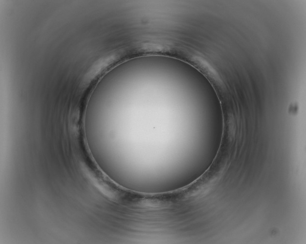 X0000092020490200709201554