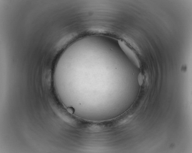 X0000092020494200709201554