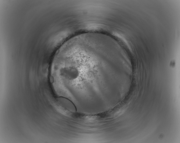 X0000092020495200709201554